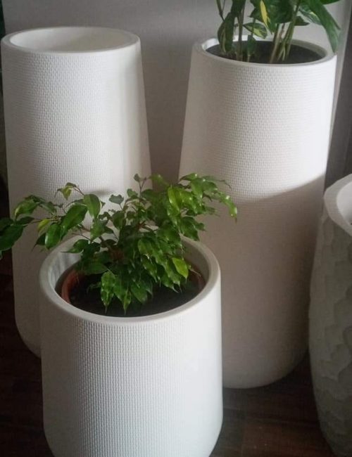 plantas y macetas